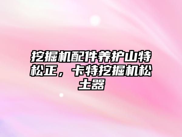 挖掘機配件養(yǎng)護山特松正，卡特挖掘機松土器