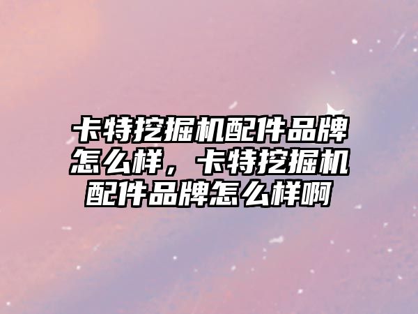 卡特挖掘機配件品牌怎么樣，卡特挖掘機配件品牌怎么樣啊