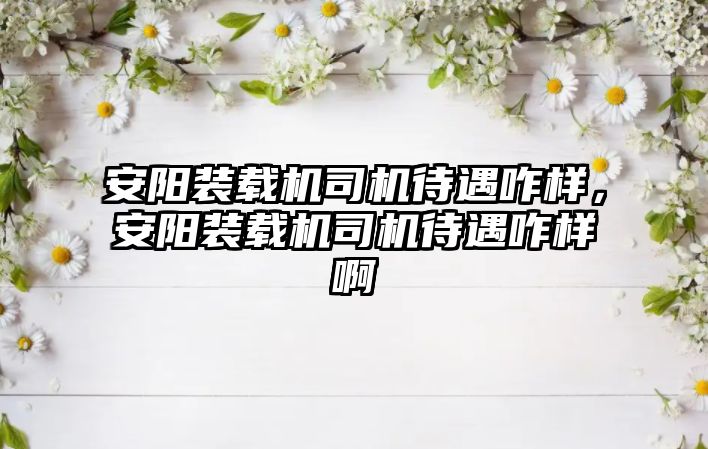 安陽裝載機司機待遇咋樣，安陽裝載機司機待遇咋樣啊