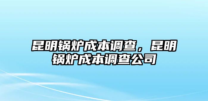 昆明鍋爐成本調(diào)查，昆明鍋爐成本調(diào)查公司