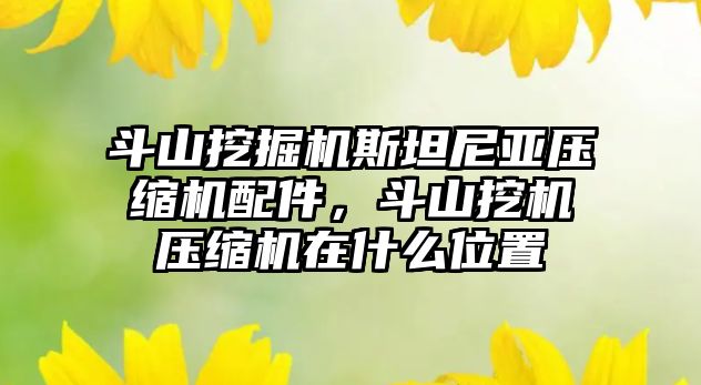 斗山挖掘機斯坦尼亞壓縮機配件，斗山挖機壓縮機在什么位置