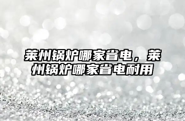 萊州鍋爐哪家省電，萊州鍋爐哪家省電耐用