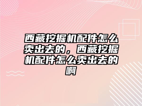 西藏挖掘機配件怎么賣出去的，西藏挖掘機配件怎么賣出去的啊