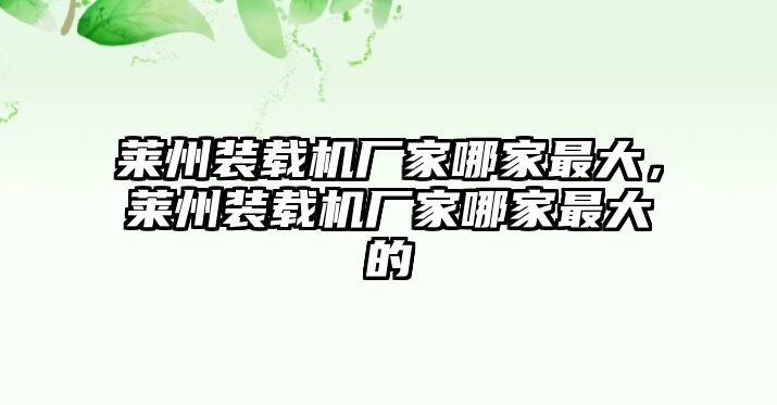 萊州裝載機(jī)廠家哪家最大，萊州裝載機(jī)廠家哪家最大的