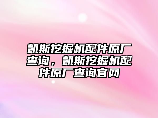 凱斯挖掘機(jī)配件原廠查詢，凱斯挖掘機(jī)配件原廠查詢官網(wǎng)