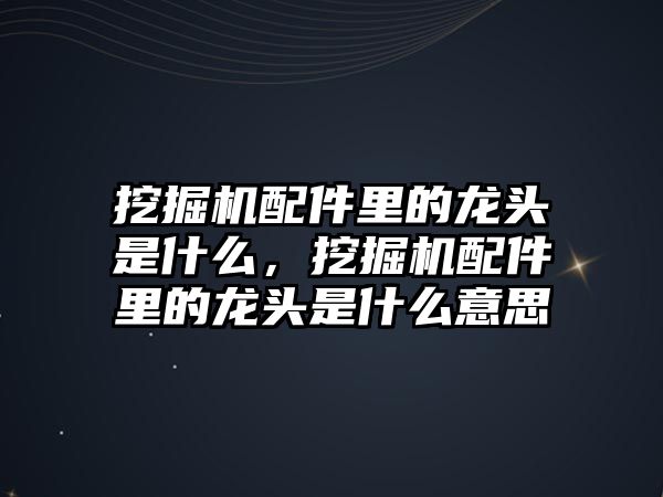 挖掘機配件里的龍頭是什么，挖掘機配件里的龍頭是什么意思