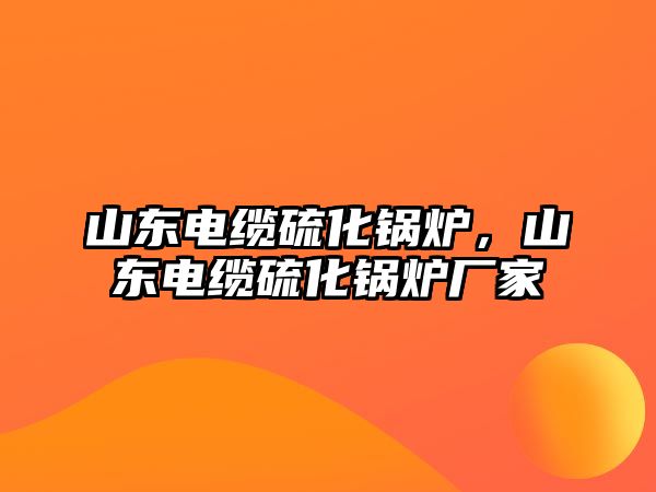 山東電纜硫化鍋爐，山東電纜硫化鍋爐廠家