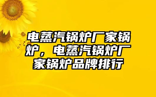 電蒸汽鍋爐廠家鍋爐，電蒸汽鍋爐廠家鍋爐品牌排行