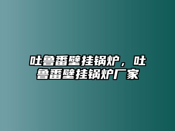 吐魯番壁掛鍋爐，吐魯番壁掛鍋爐廠家