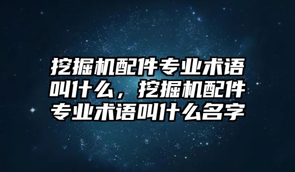 挖掘機(jī)配件專業(yè)術(shù)語叫什么，挖掘機(jī)配件專業(yè)術(shù)語叫什么名字