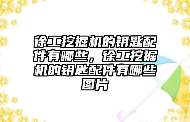 徐工挖掘機的鑰匙配件有哪些，徐工挖掘機的鑰匙配件有哪些圖片