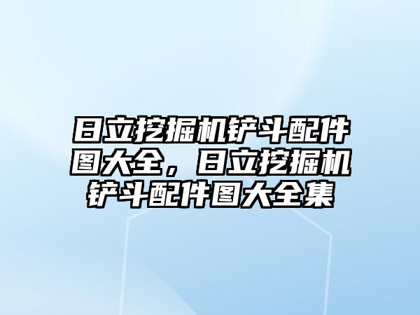 日立挖掘機鏟斗配件圖大全，日立挖掘機鏟斗配件圖大全集