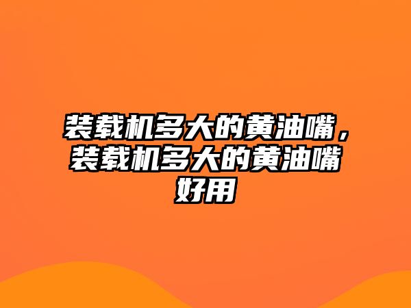 裝載機多大的黃油嘴，裝載機多大的黃油嘴好用