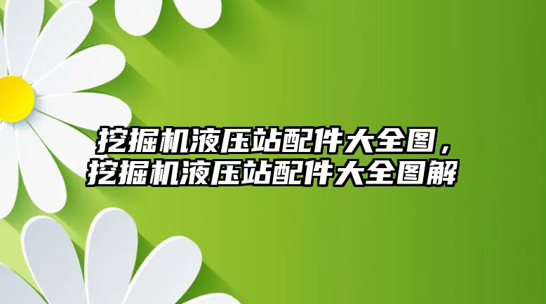 挖掘機液壓站配件大全圖，挖掘機液壓站配件大全圖解