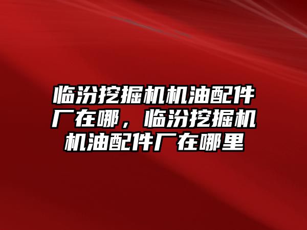 臨汾挖掘機機油配件廠在哪，臨汾挖掘機機油配件廠在哪里