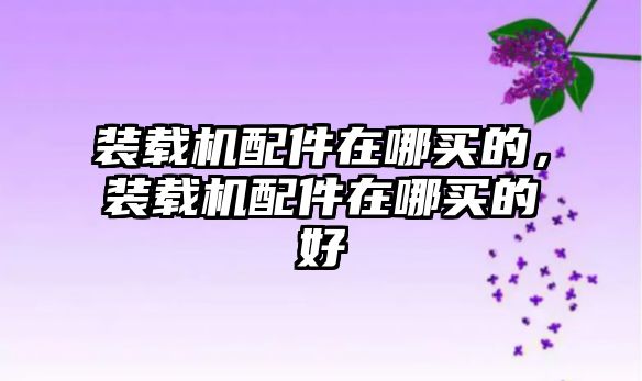 裝載機(jī)配件在哪買(mǎi)的，裝載機(jī)配件在哪買(mǎi)的好