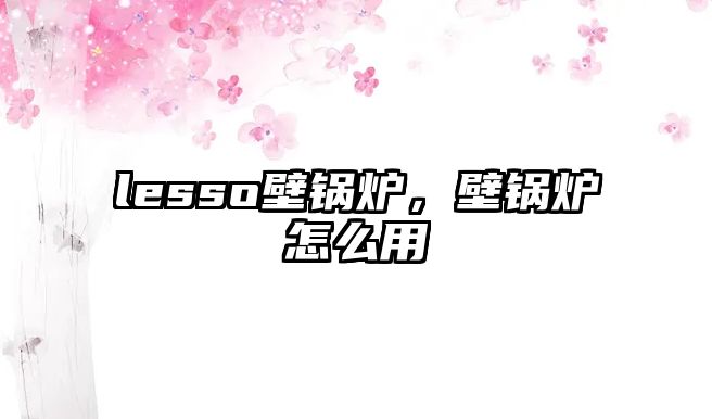 lesso壁鍋爐，壁鍋爐怎么用