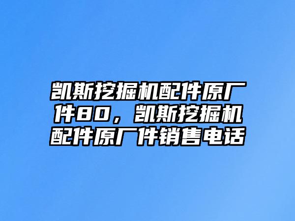 凱斯挖掘機(jī)配件原廠件80，凱斯挖掘機(jī)配件原廠件銷售電話