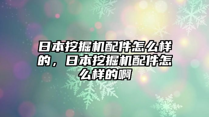 日本挖掘機(jī)配件怎么樣的，日本挖掘機(jī)配件怎么樣的啊