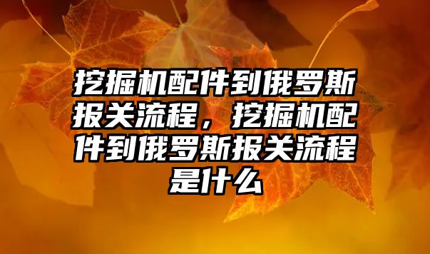 挖掘機配件到俄羅斯報關流程，挖掘機配件到俄羅斯報關流程是什么