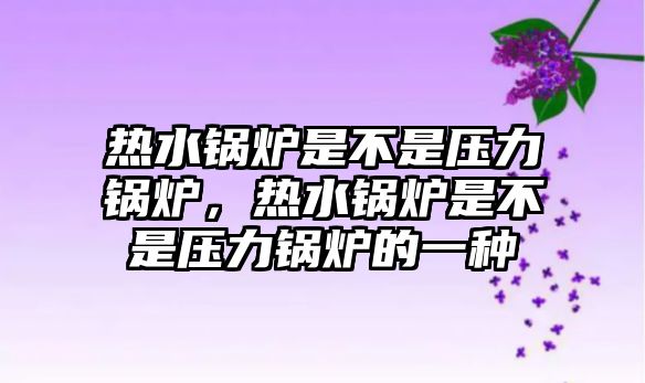 熱水鍋爐是不是壓力鍋爐，熱水鍋爐是不是壓力鍋爐的一種