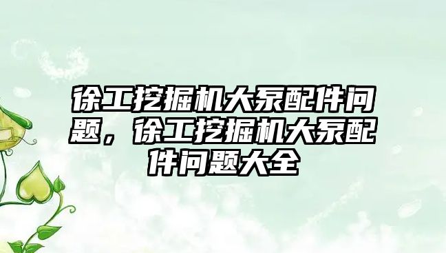 徐工挖掘機大泵配件問題，徐工挖掘機大泵配件問題大全