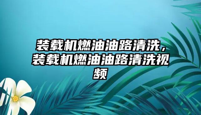 裝載機燃油油路清洗，裝載機燃油油路清洗視頻