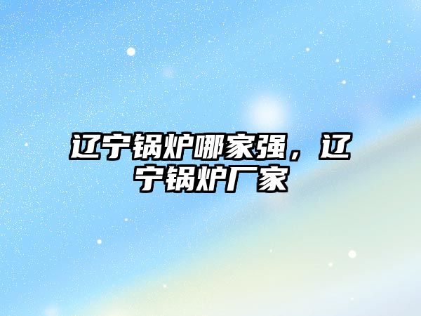 遼寧鍋爐哪家強(qiáng)，遼寧鍋爐廠家