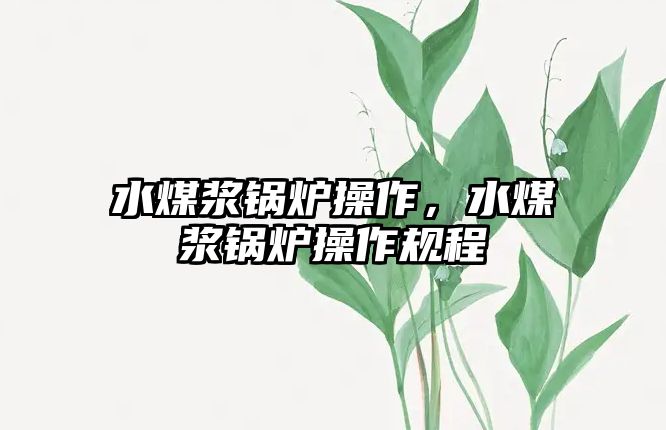 水煤漿鍋爐操作，水煤漿鍋爐操作規(guī)程