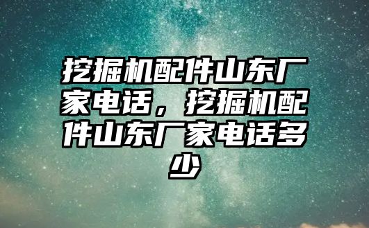 挖掘機(jī)配件山東廠家電話，挖掘機(jī)配件山東廠家電話多少