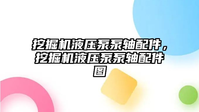 挖掘機液壓泵泵軸配件，挖掘機液壓泵泵軸配件圖