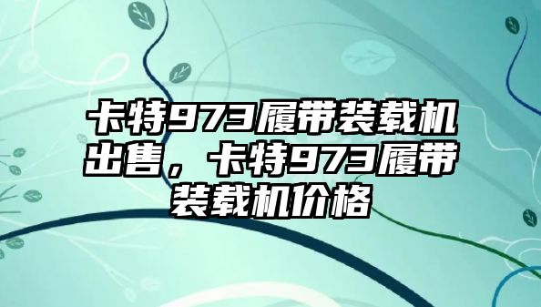 卡特973履帶裝載機出售，卡特973履帶裝載機價格