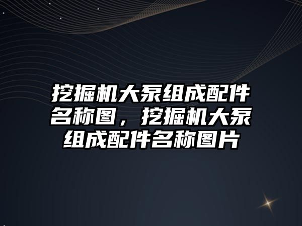 挖掘機(jī)大泵組成配件名稱圖，挖掘機(jī)大泵組成配件名稱圖片