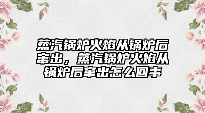 蒸汽鍋爐火焰從鍋爐后竄出，蒸汽鍋爐火焰從鍋爐后竄出怎么回事