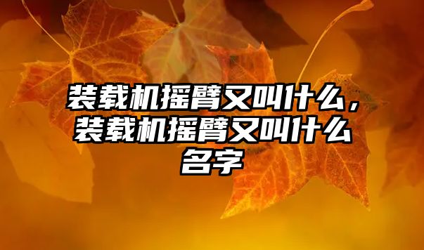 裝載機搖臂又叫什么，裝載機搖臂又叫什么名字