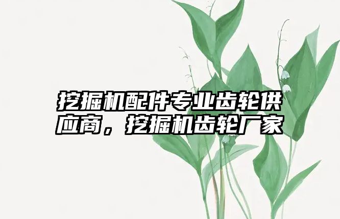 挖掘機配件專業(yè)齒輪供應商，挖掘機齒輪廠家