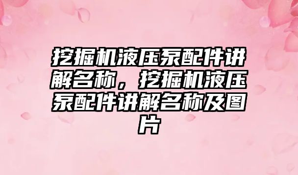 挖掘機液壓泵配件講解名稱，挖掘機液壓泵配件講解名稱及圖片