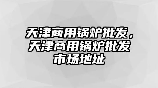 天津商用鍋爐批發(fā)，天津商用鍋爐批發(fā)市場地址