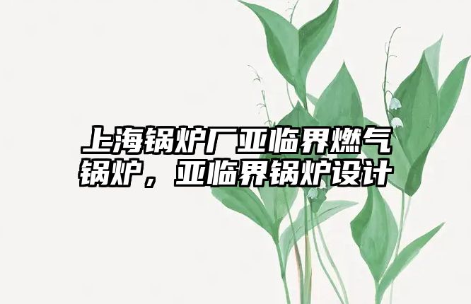 上海鍋爐廠亞臨界燃?xì)忮仩t，亞臨界鍋爐設(shè)計(jì)