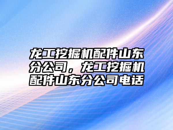 龍工挖掘機配件山東分公司，龍工挖掘機配件山東分公司電話