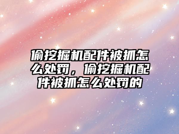 偷挖掘機配件被抓怎么處罰，偷挖掘機配件被抓怎么處罰的