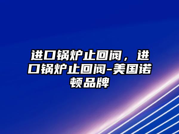 進口鍋爐止回閥，進口鍋爐止回閥-美國諾頓品牌