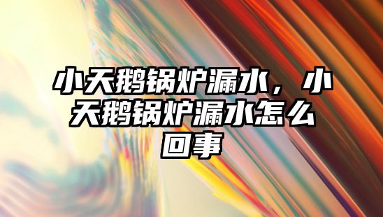 小天鵝鍋爐漏水，小天鵝鍋爐漏水怎么回事