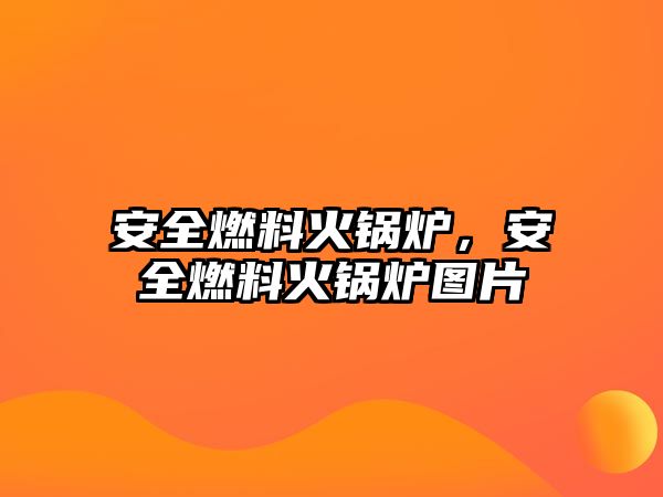 安全燃料火鍋爐，安全燃料火鍋爐圖片