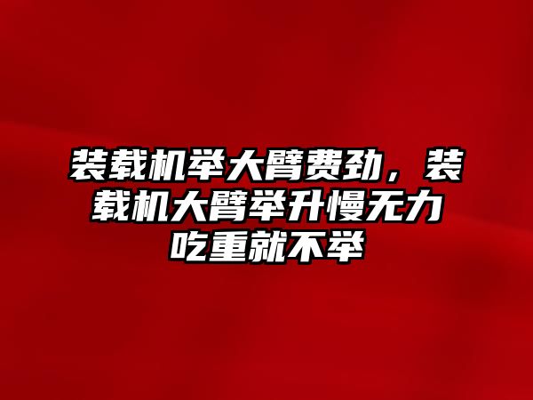 裝載機(jī)舉大臂費(fèi)勁，裝載機(jī)大臂舉升慢無(wú)力吃重就不舉