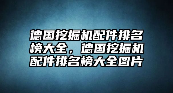 德國(guó)挖掘機(jī)配件排名榜大全，德國(guó)挖掘機(jī)配件排名榜大全圖片