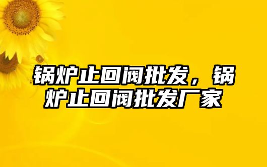 鍋爐止回閥批發(fā)，鍋爐止回閥批發(fā)廠家