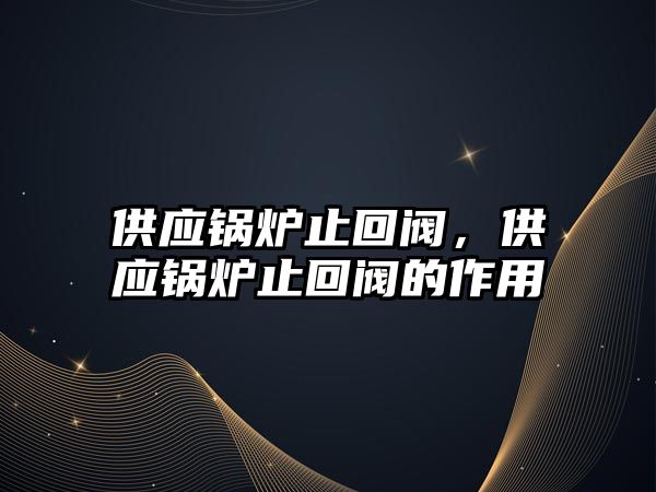 供應(yīng)鍋爐止回閥，供應(yīng)鍋爐止回閥的作用