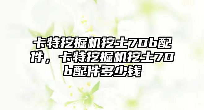 卡特挖掘機挖土70b配件，卡特挖掘機挖土70b配件多少錢