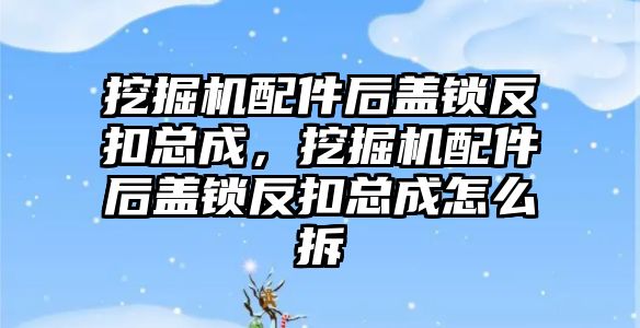 挖掘機(jī)配件后蓋鎖反扣總成，挖掘機(jī)配件后蓋鎖反扣總成怎么拆